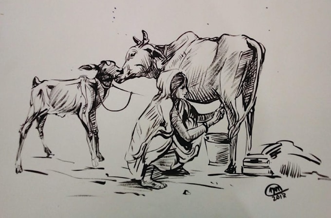 do hand drawn pencil sketch for anything you want
