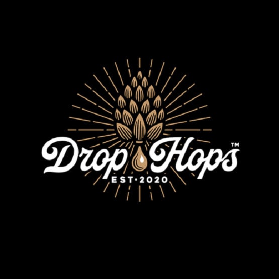 design a hipster logo in 1 day
