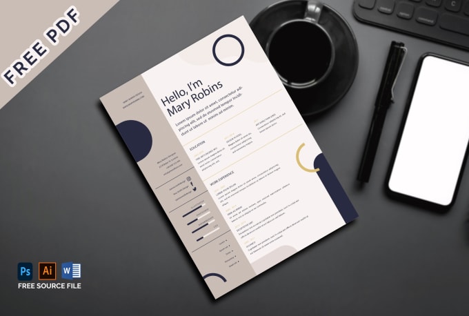 do professional resume or cv design in 3 hours
