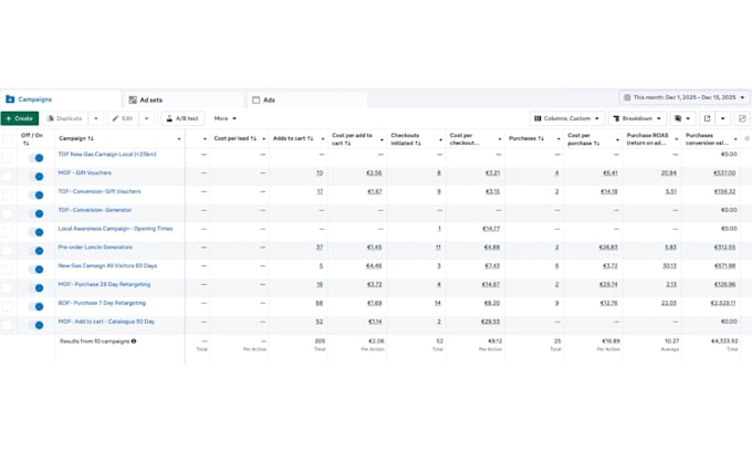 consult you on how to run successful facebook ads