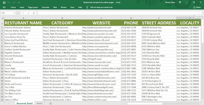 be your virtual assistant for data entry and web research