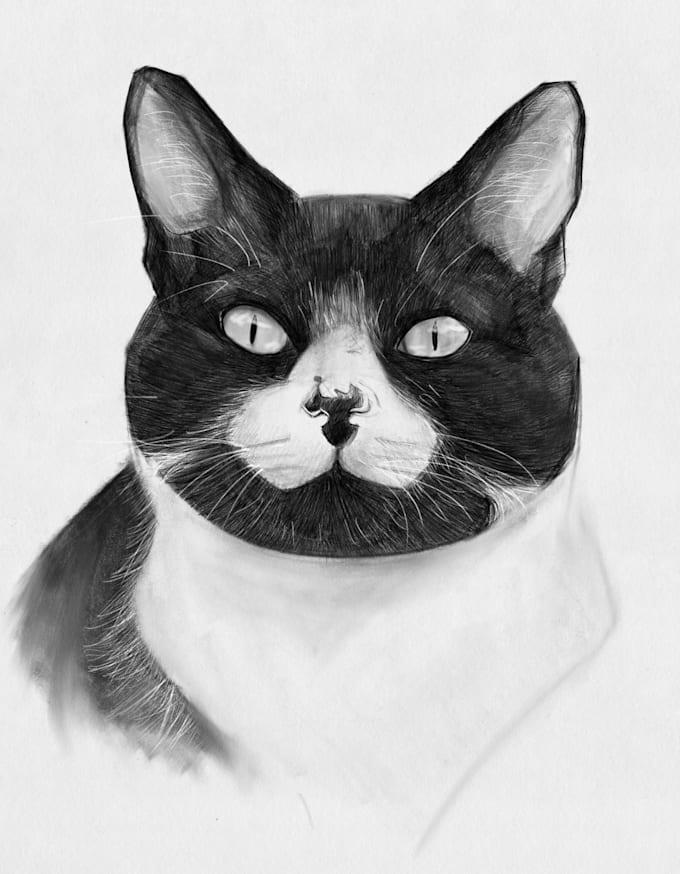 draw realistic portraits in pencil drawing in 24 hours