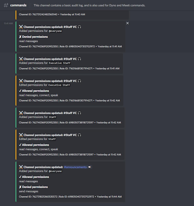 create a professional discord server for you