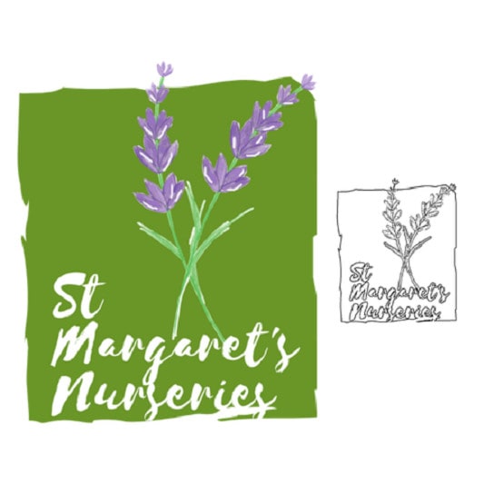 design family plant nursery logo in 24 hours