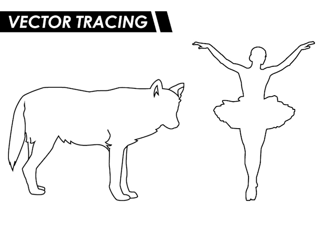 vector trace, vectorize, redraw your photo in line art