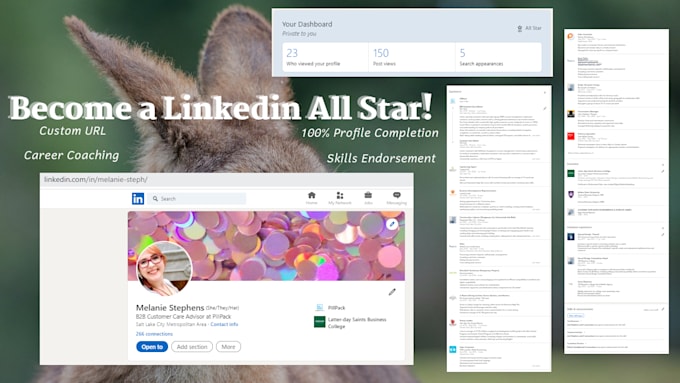 make your resume stellar and your linkedin exciting