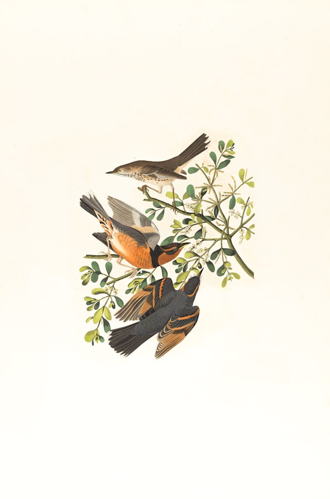 beautifully create illustrations for books, tshirts, videos, games