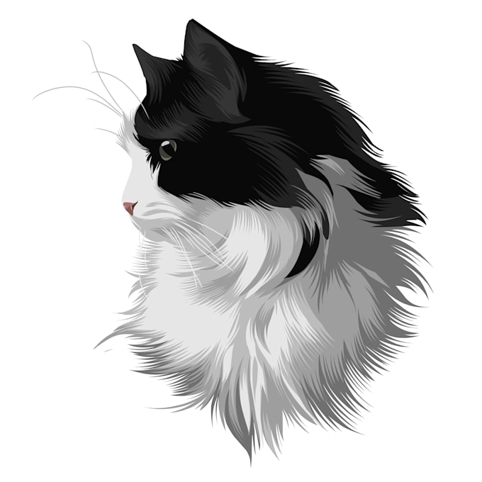 draw your pet into vector art cartoon