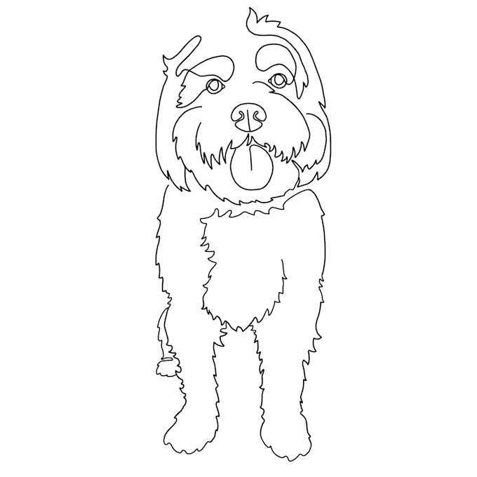 make realistic pet potrait and line art