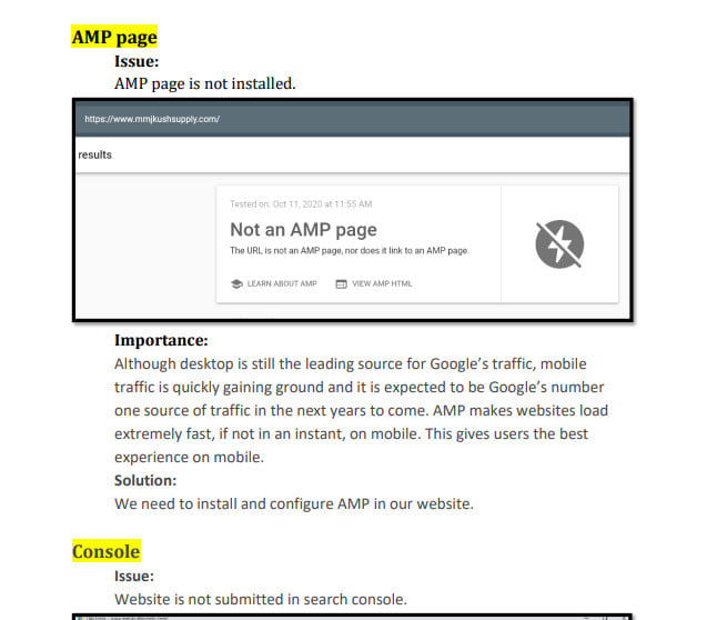 do professional seo audit report with google guidance
