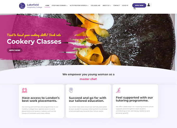 create responsive wordpress website design and development