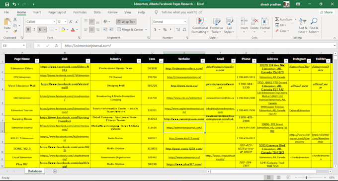 do professional data entry
