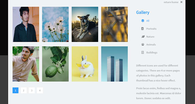 create responsive and professional web design
