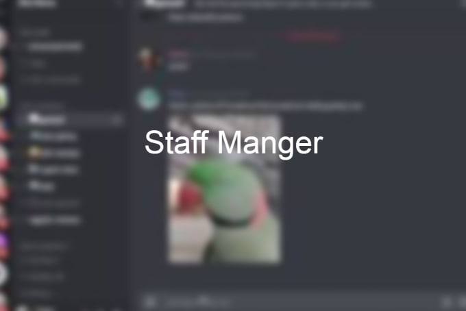 Manage your discord server and staff by Strazerplayz123  Fiverr