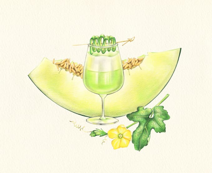 hand paint food and beverage illustrations
