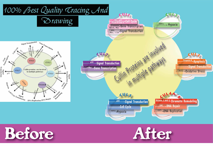 low resolution pdf to high quality and draw diagrams