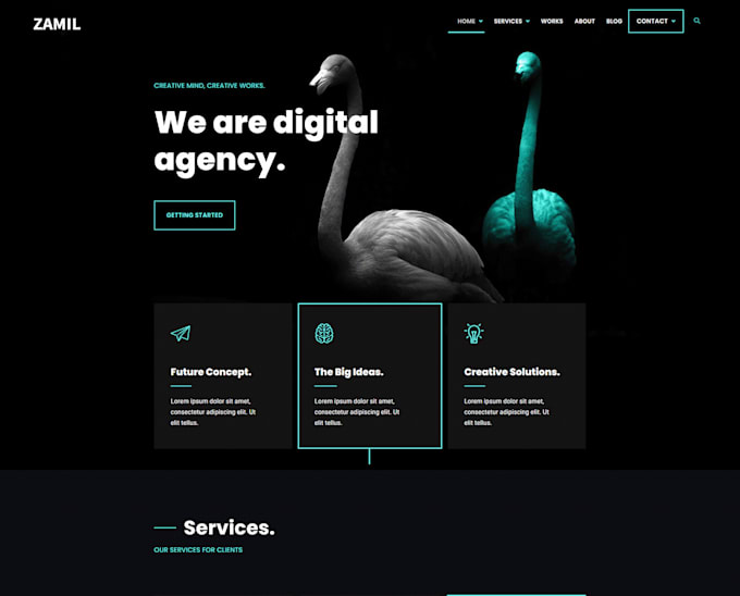design and develop your wordpress website