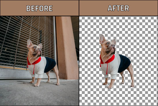 remove background and change it into white or transparent