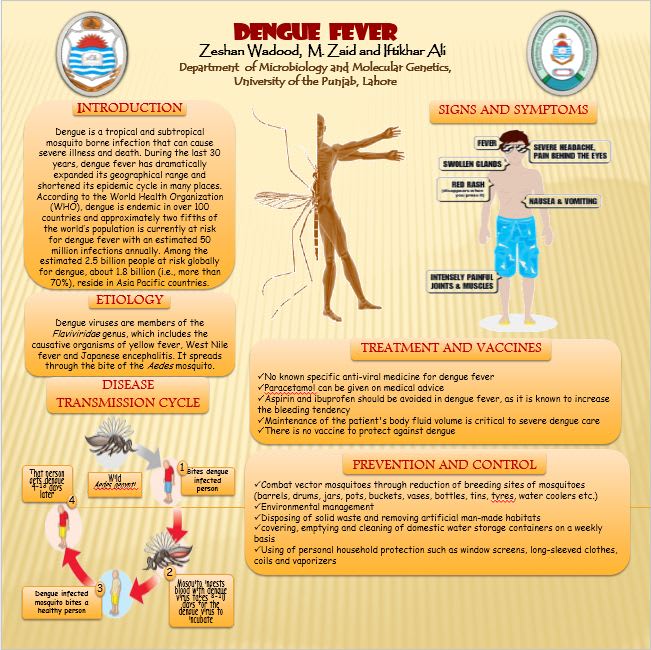 make creative scientific posters for you
