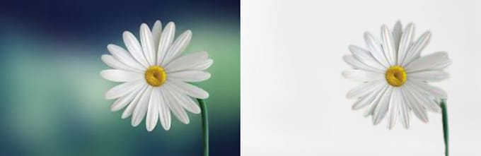 professionally remove background, merge and resize images