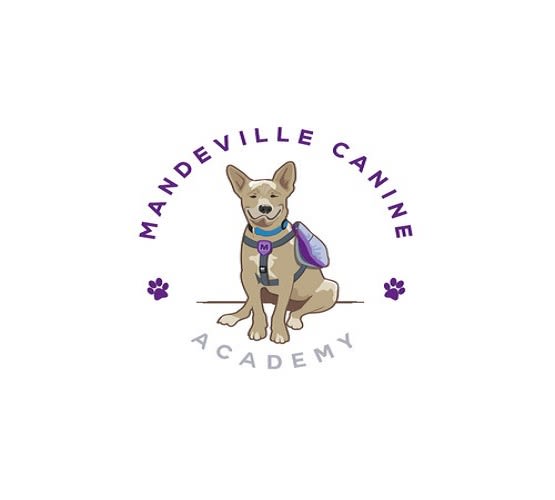 create a fun canine academy logo