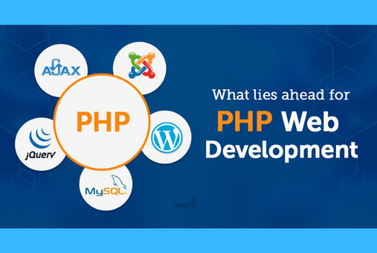 develop custom PHP web applications and websites