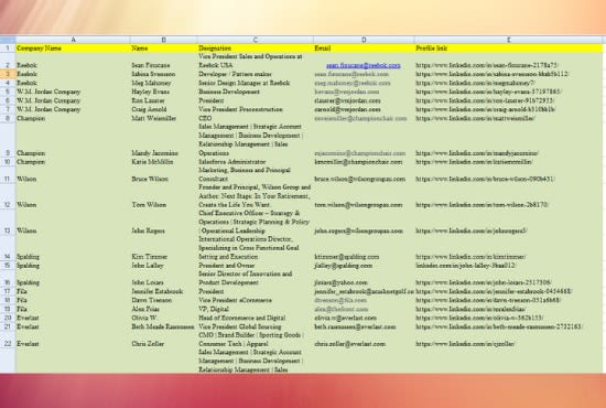 do web research and b2b targeted active lead generation