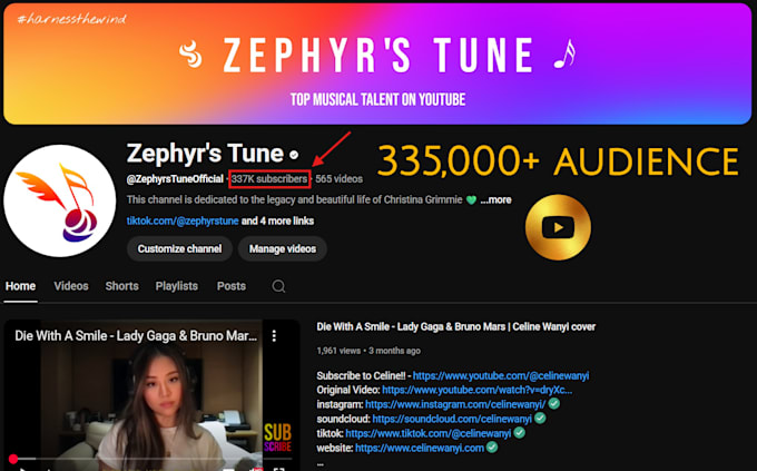 promote your music to 335,000 people on youtube