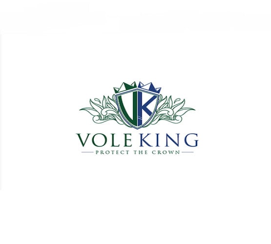 design vole king logo in 1 day