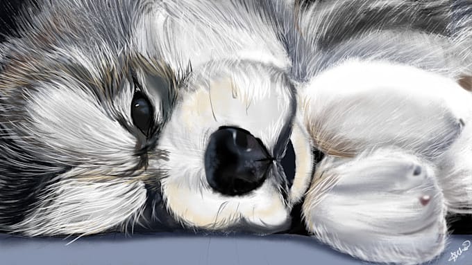 do cute funny pet portraits for you