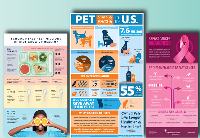 design professional flowcharts, piecharts, business infographics