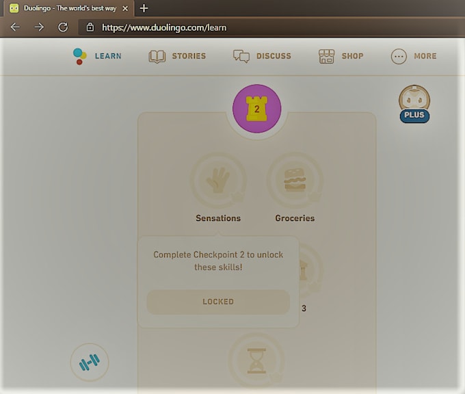 Unlock As Well As Complete Duolingo Lessons For You By Agile Tester Fiverr