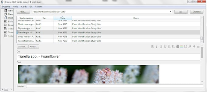 create anki flashcards and sets for any topic