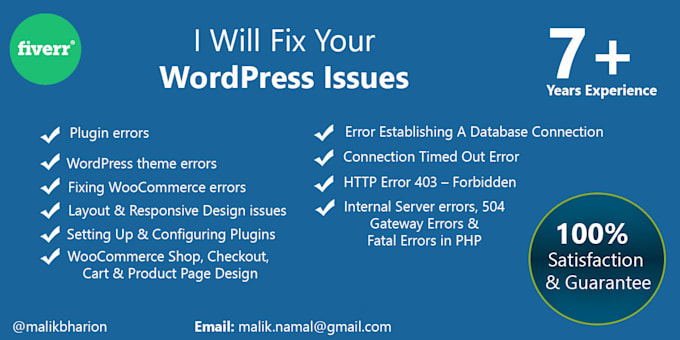 build ecommerce website design, professional online store, shopify and wordpress