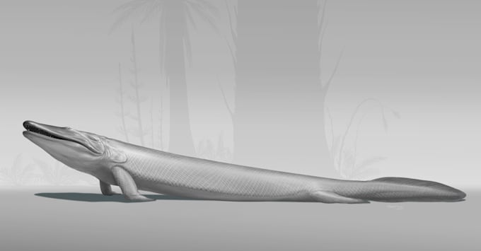 draw your paleoart illustration project