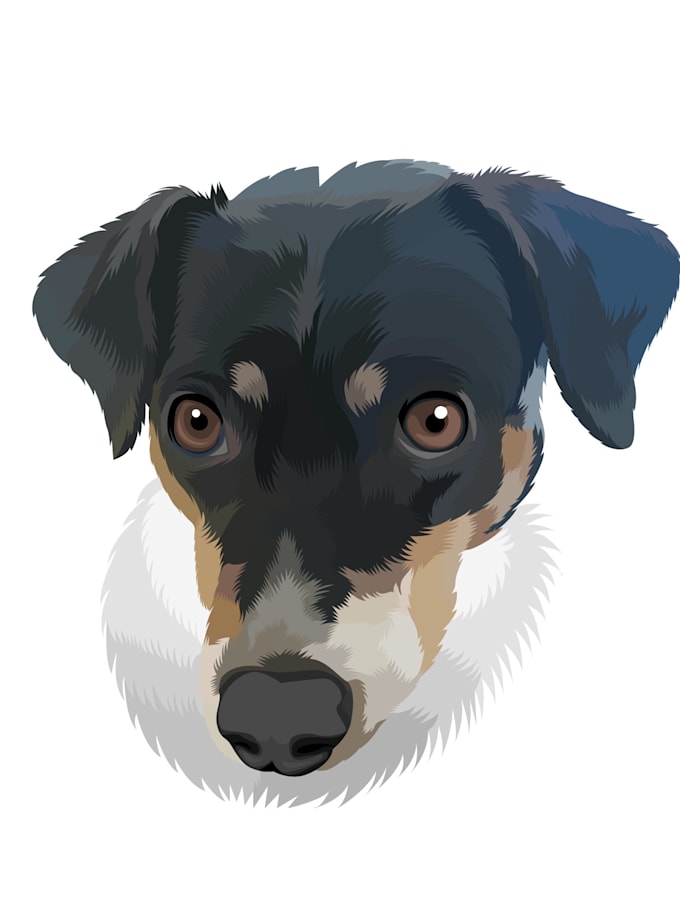 make your pets convert to vector in 24 hours