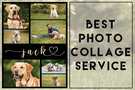 make a photo collage and custom shape collage