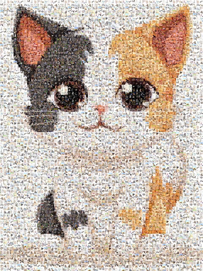 transform your photos into stunning collages and mosaics