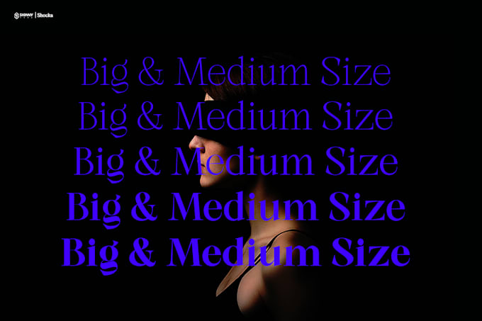 make custom font for you any project