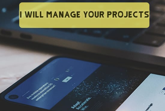 do professional virtual assistant web, data, admin tasks