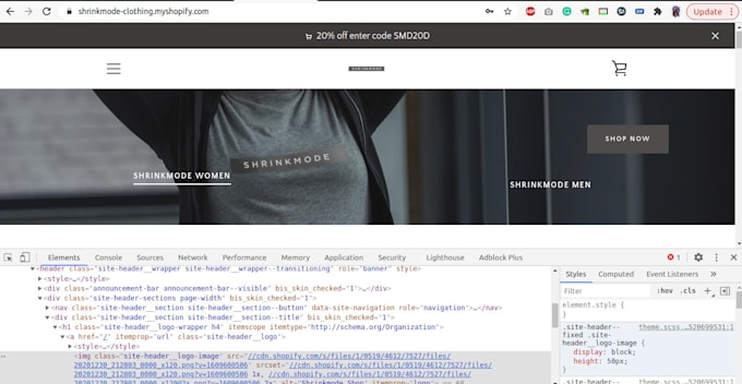 help with custom shopify store design and development