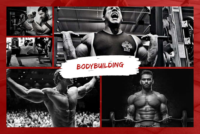 write bodybuilding, training, and supplements articles