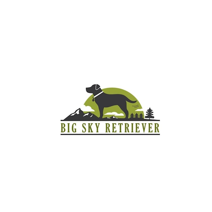design big sky retrievers logo in 1 day