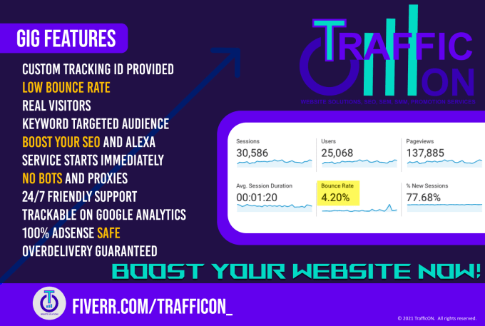 provide organic website traffic exclusively from USA