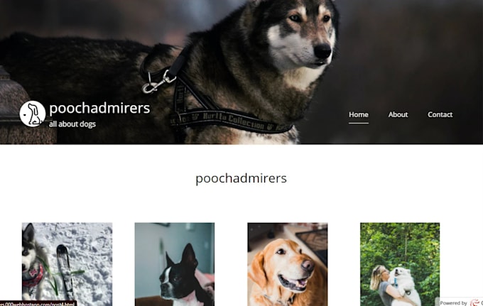 make a complete portfolio website