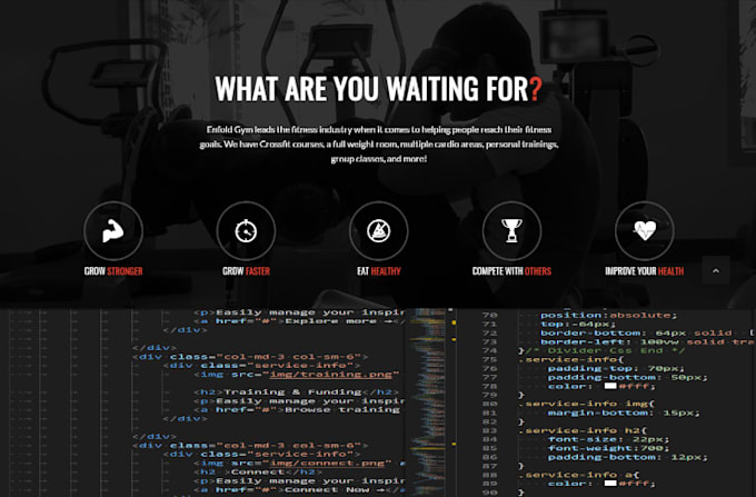 edit HTML and CSS on your webpage and wordpress website