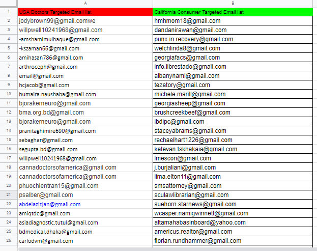 private a niche targeted email list in 24 hours