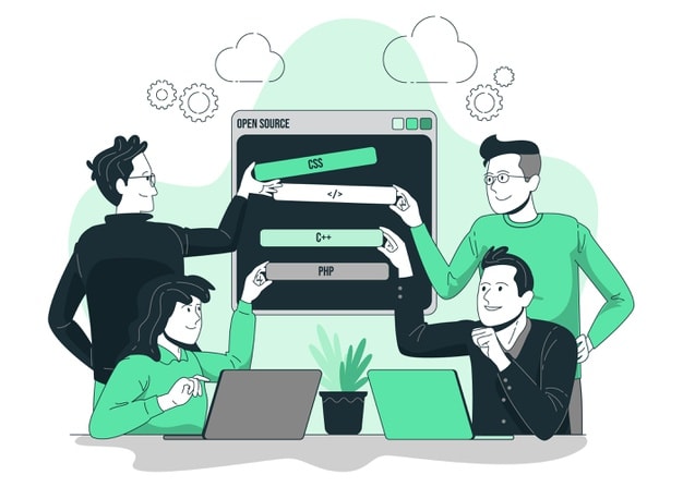 a IT business analyst and system designer for you