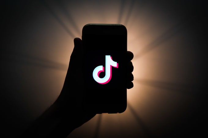 Find The Best Tik Tok And Influencer For Your Marketing By Virtuallead 6958