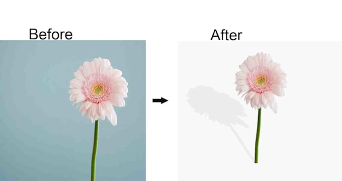 professionally remove background from image, cut out photos